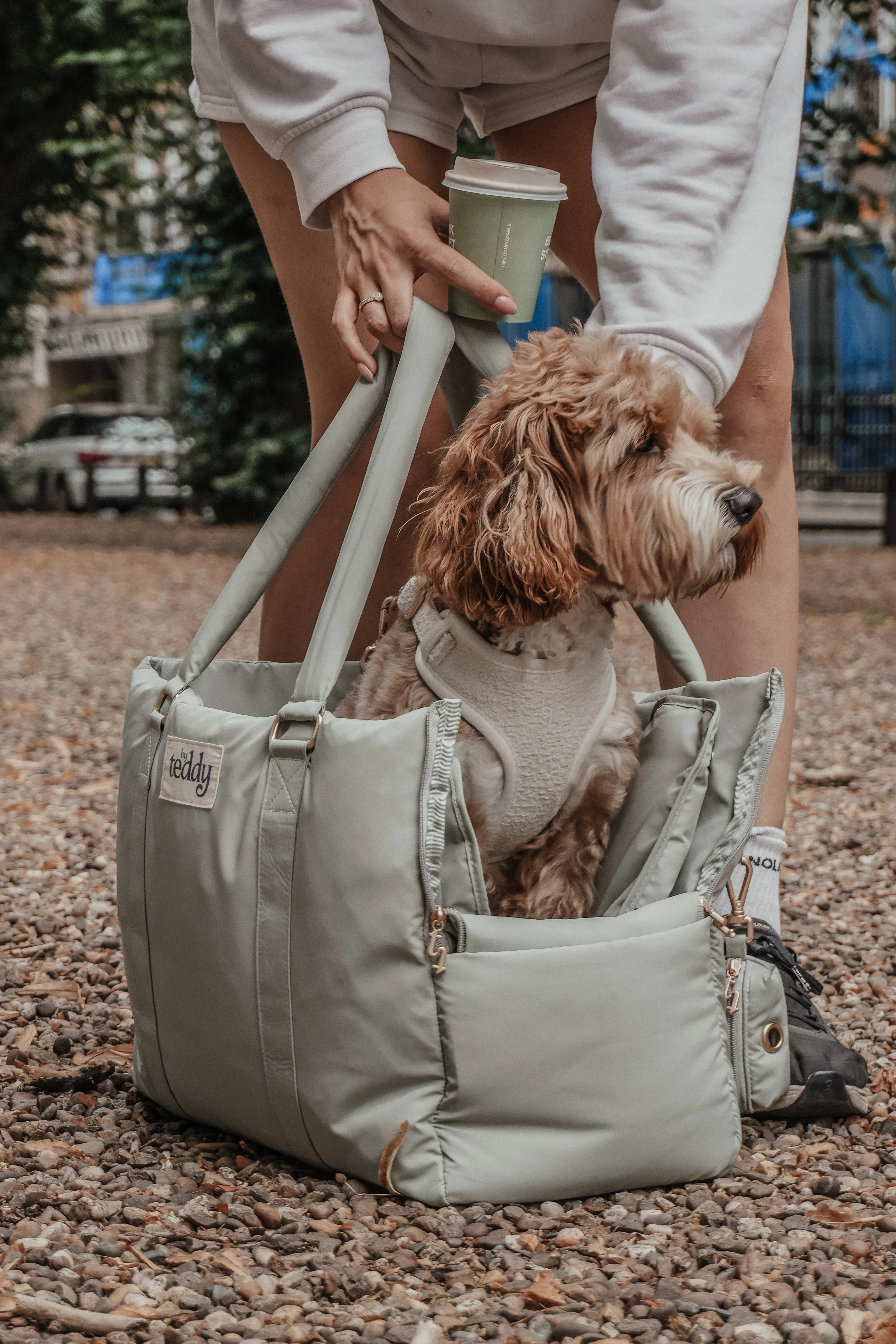 Matcha┃The Puffer Carrier - Image 3
