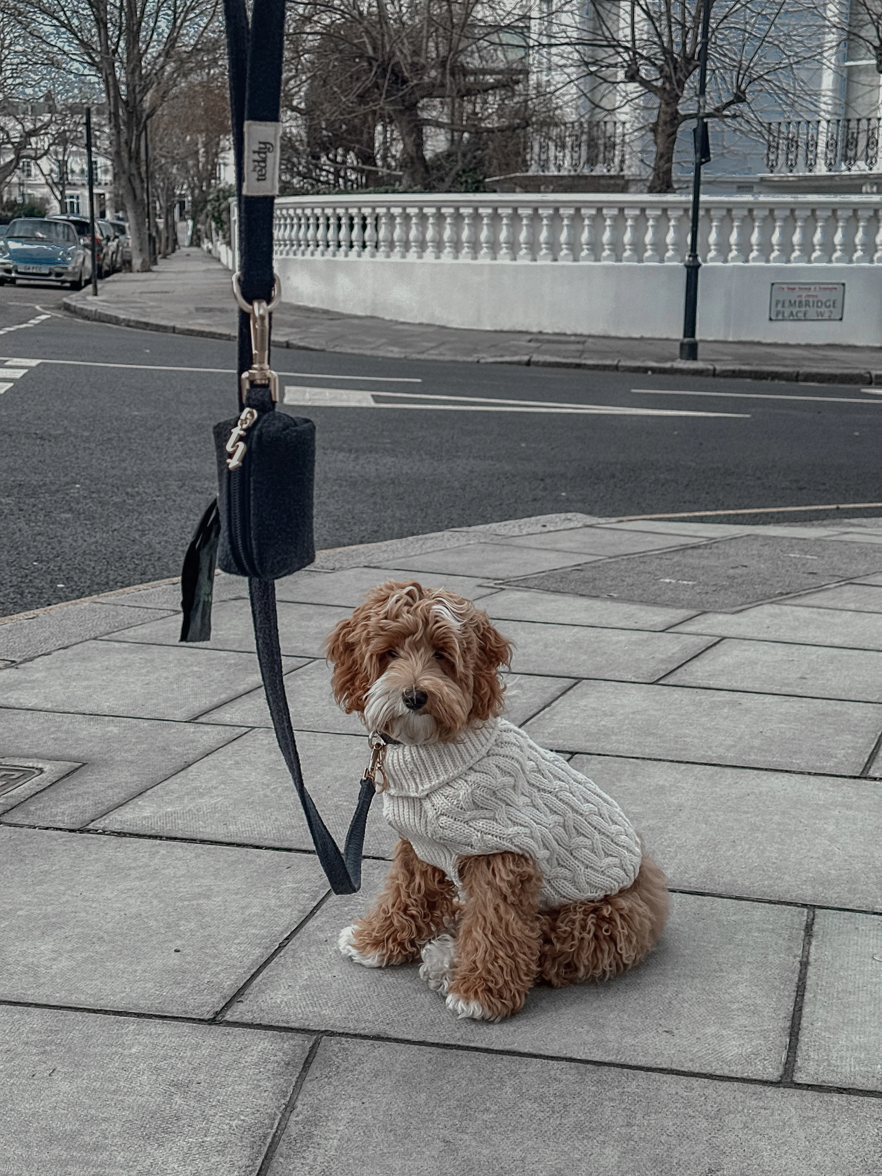 Midnight┃Boucle Lead - Image 7